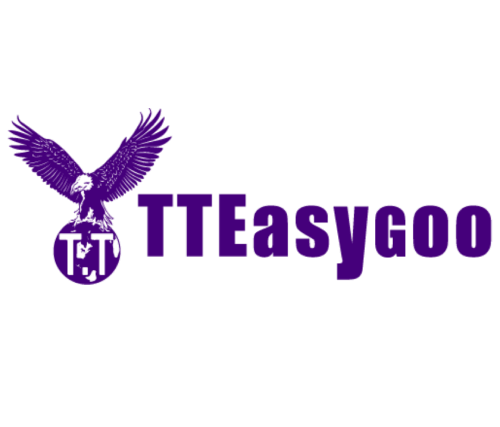 logo tteasygoo